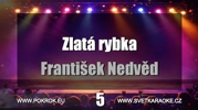Fotografie interpreta Franti�ek Nedv�d